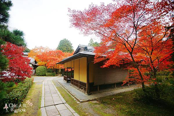 京都西芳寺-苔寺 (34)