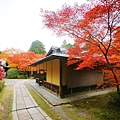 京都西芳寺-苔寺 (34)