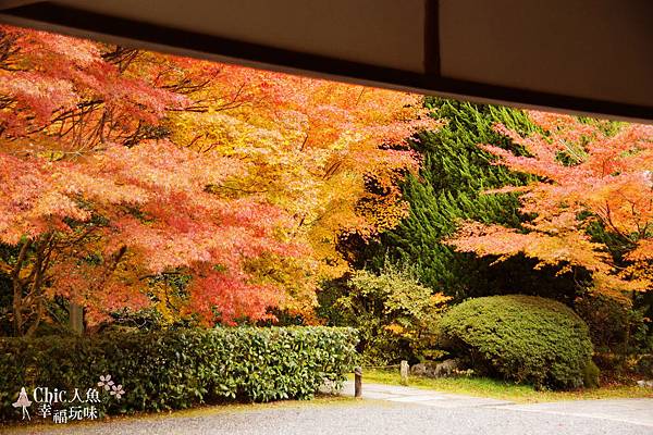 京都西芳寺-苔寺 (43)