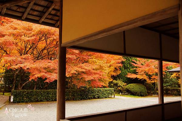 京都西芳寺-苔寺 (45)