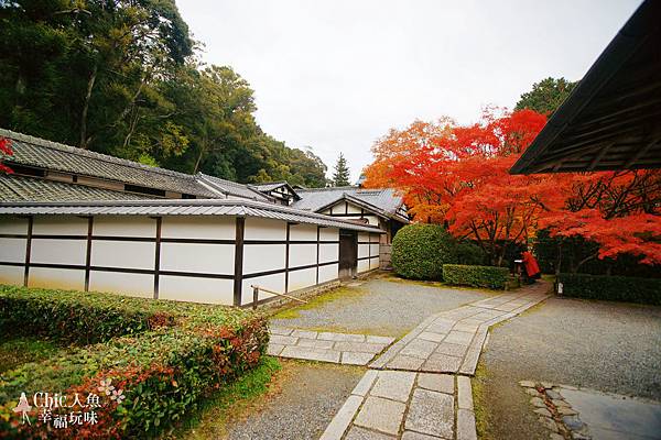 京都西芳寺-苔寺 (49)