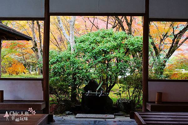 京都西芳寺-苔寺 (53)