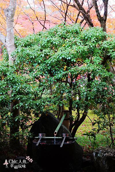 京都西芳寺-苔寺 (56)