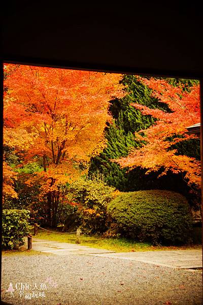 京都西芳寺-苔寺 (58)