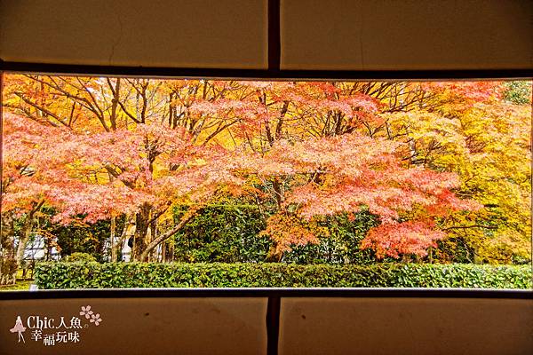 京都西芳寺-苔寺 (64)