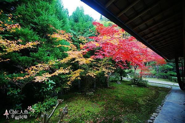 京都西芳寺-苔寺 (71)