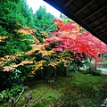 京都西芳寺-苔寺 (71)