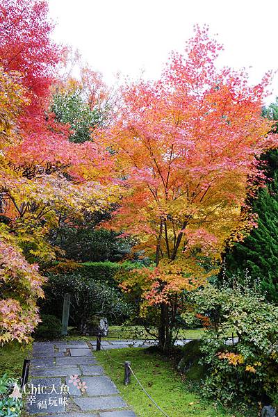 京都西芳寺-苔寺 (81)