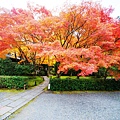 京都西芳寺-苔寺 (94)