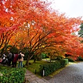 京都西芳寺-苔寺 (110)