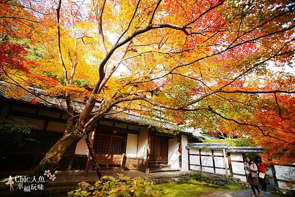 京都西芳寺-苔寺 (127)