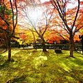 京都西芳寺-苔寺 (129)