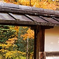 京都西芳寺-苔寺 (147)