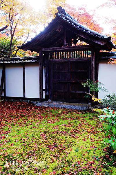 京都西芳寺-苔寺 (149)