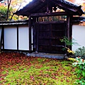 京都西芳寺-苔寺 (149)