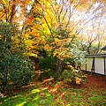 京都西芳寺-苔寺 (153)