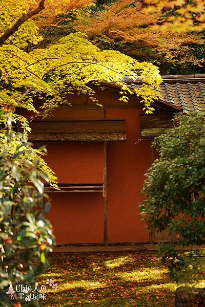 京都西芳寺-苔寺 (159)