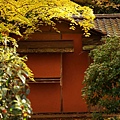 京都西芳寺-苔寺 (159)