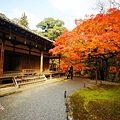 京都西芳寺-苔寺 (168)