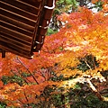 京都西芳寺-苔寺 (182)