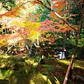 京都西芳寺-苔寺 (200)