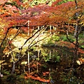 京都西芳寺-苔寺 (205)