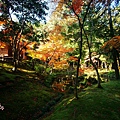 京都西芳寺-苔寺 (233)