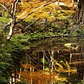 京都西芳寺-苔寺 (240)