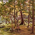 京都西芳寺-苔寺 (242)