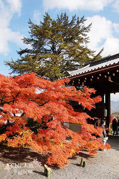 京都岩倉實相院門跡2014 (11)