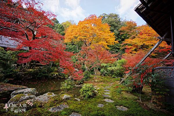 京都岩倉實相院門跡2014 (52)