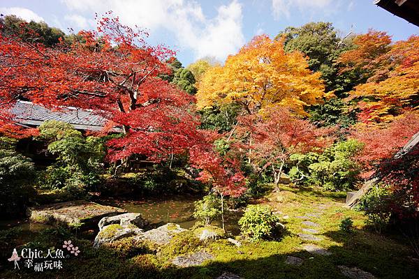 京都岩倉實相院門跡2014 (55)