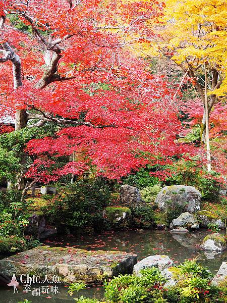 京都岩倉實相院門跡2014 (105)