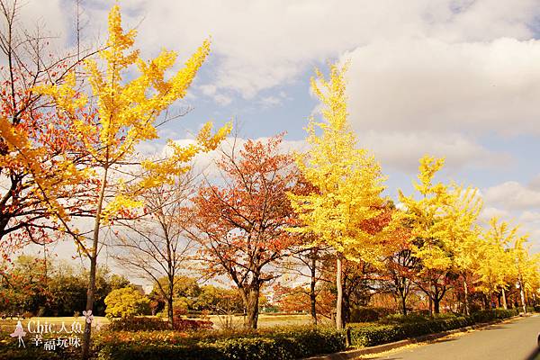 曼殊院門跡 (1)