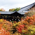 東福寺2009 (1)