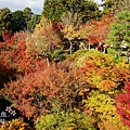 東福寺2009 (25)