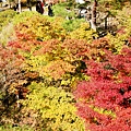 東福寺2009 (26)