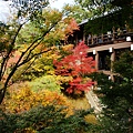 東福寺2009 (73)