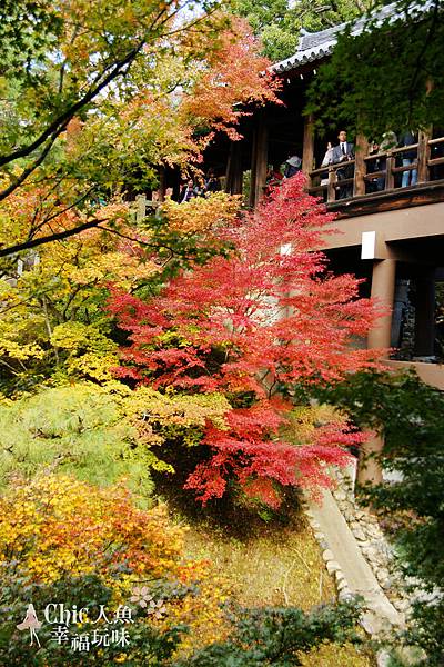 東福寺2009 (74)