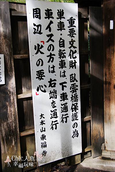 東福寺2009 (96)