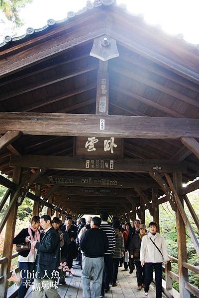 東福寺2009 (98)