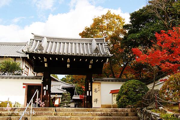 東福寺2009 (104)