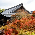 東福寺2009 (136)