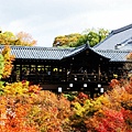 東福寺2009 (142)