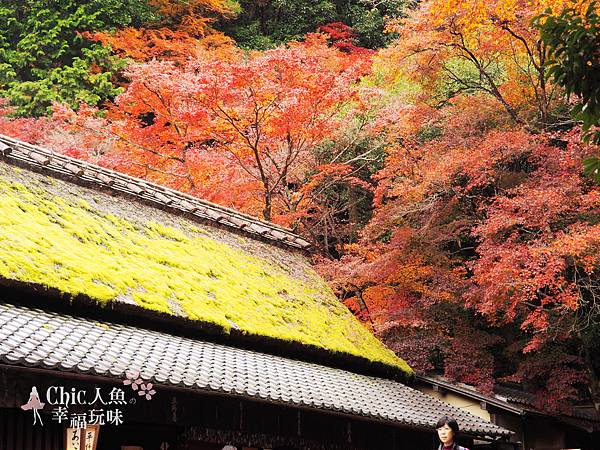 嵯峨鳥居本 (16)