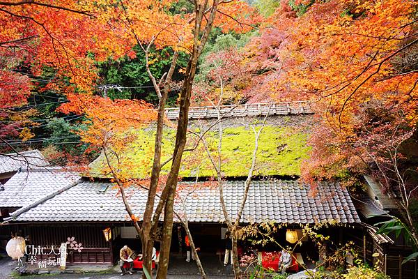 嵯峨鳥居本 (27)