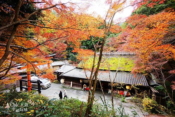 嵯峨鳥居本 (29)