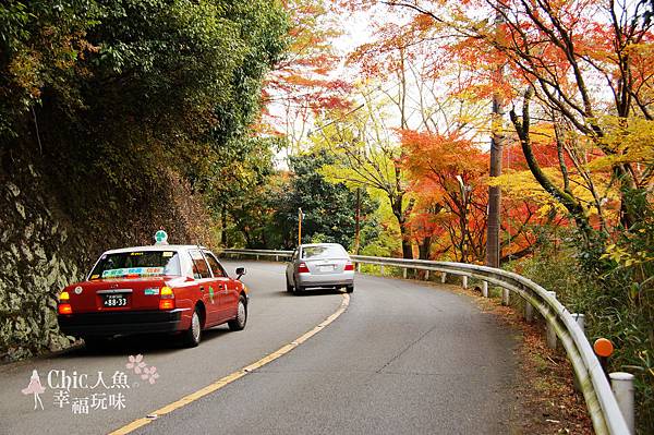 嵯峨鳥居本 (38)