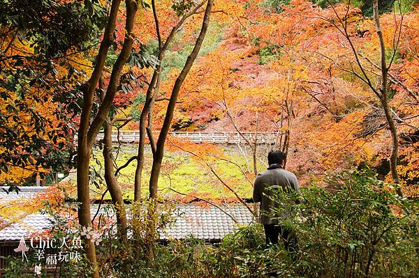 嵯峨鳥居本 (40)