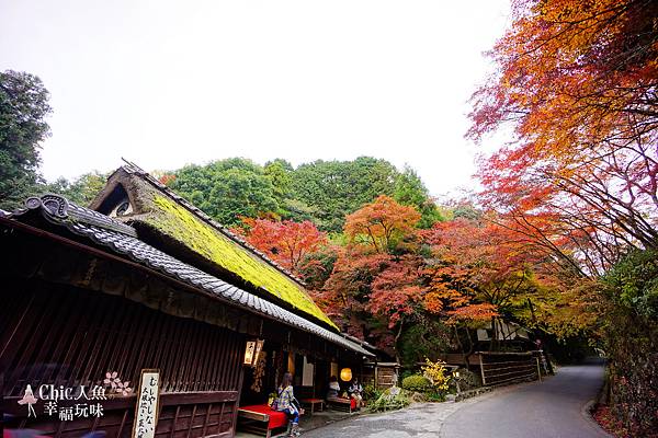 嵯峨鳥居本 (45)